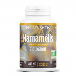 Hamamélis Bio - 200 comprimés à 400 mg