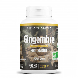 Gingembre Bio - 400 mg - 120 comprimés