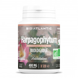 Harpagophytum Bio - 120 comprimés à 400 mg