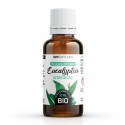 Huile Essentielle de Eucalyptus Citriodora Bio 30ml